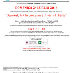 Volantino corsa Asnago - 24 luglio 2016 - senza pubblicità