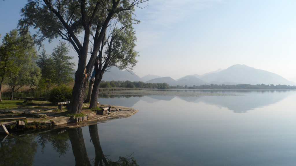 lago alserio