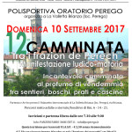 Camminata PEREGO _2017