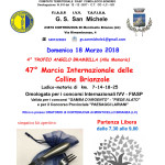 Volantino CAMMINATA G.S.MICHELE marzo 2018 (1)