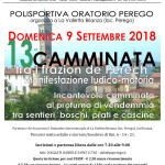 vol PEREGO Camminata_2018_FRONTE